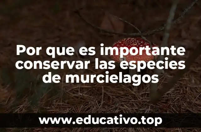 El impacto ecológico de los murciélagos en los ecosistemas