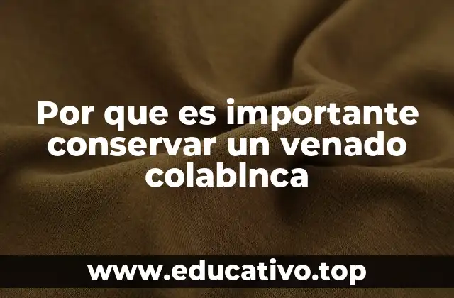 Por que es importante conservar un venado colablnca