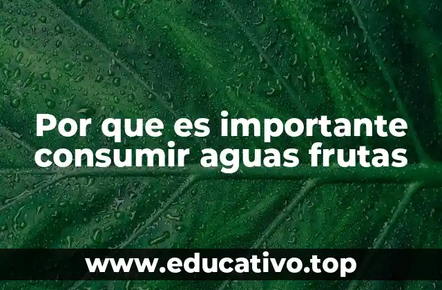 Por que es importante consumir aguas frutas