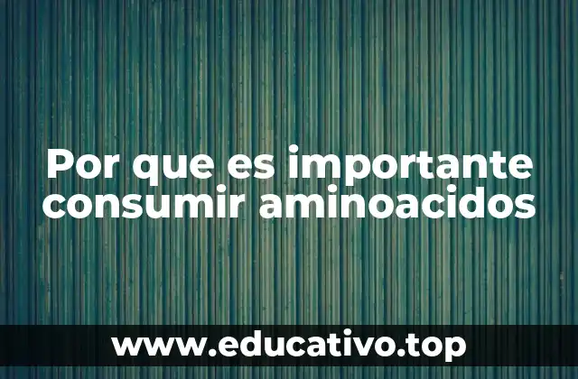 Por que es importante consumir aminoacidos
