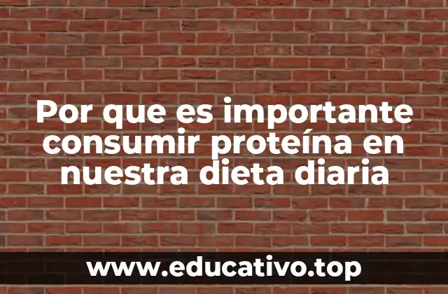 Por que es importante consumir proteína en nuestra dieta diaria