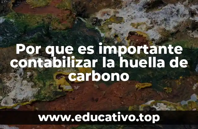 Por que es importante contabilizar la huella de carbono