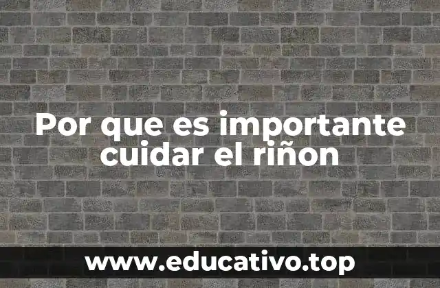 Por que es importante cuidar el riñon