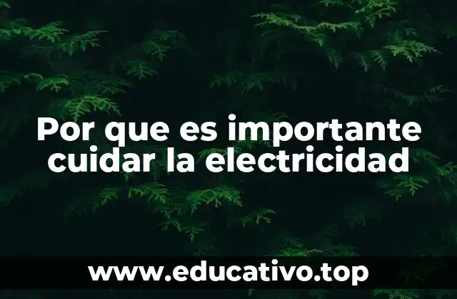 Por que es importante cuidar la electricidad