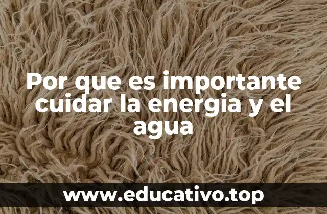 Por que es importante cuidar la energia y el agua
