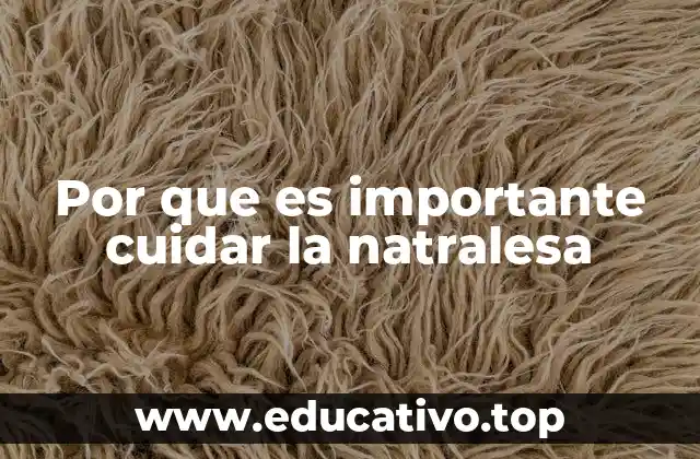 Por que es importante cuidar la natralesa