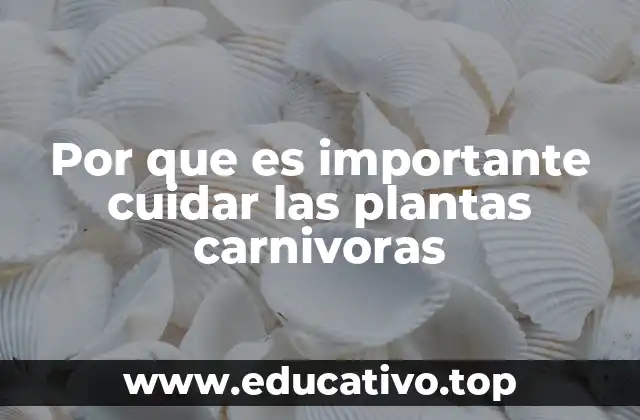 Por que es importante cuidar las plantas carnivoras