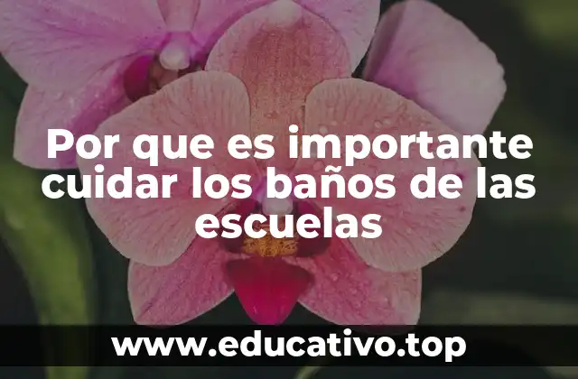 Por que es importante cuidar los baños de las escuelas
