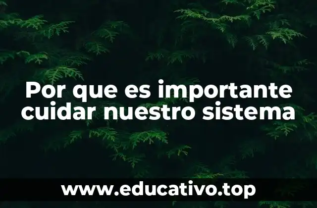 Por que es importante cuidar nuestro sistema
