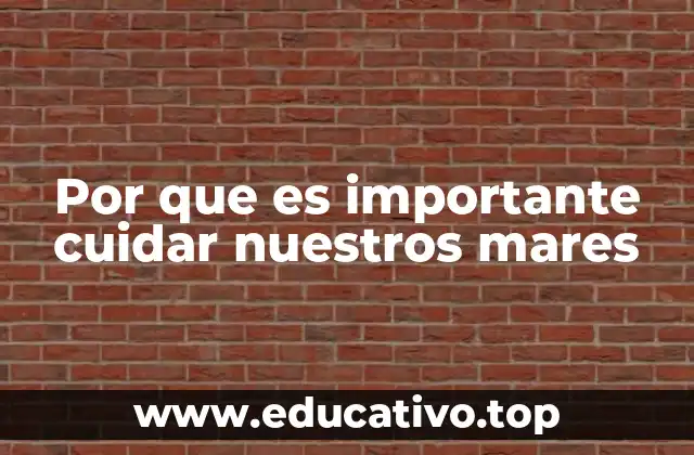 Por que es importante cuidar nuestros mares