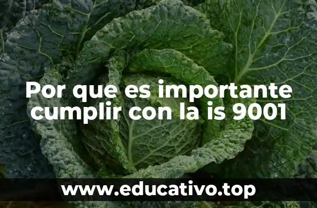 Por que es importante cumplir con la is 9001