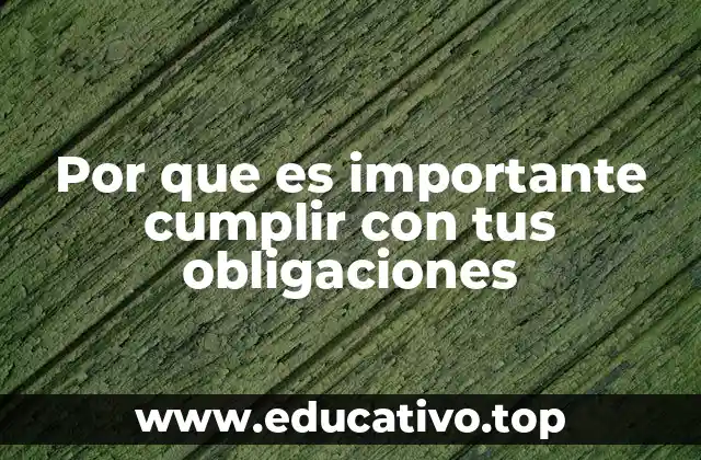 Por que es importante cumplir con tus obligaciones