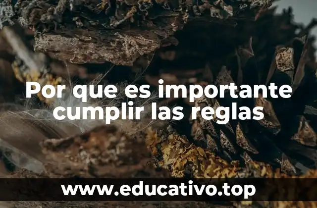 El impacto social de seguir normas y principios