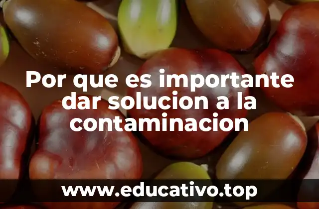 Por que es importante dar solucion a la contaminacion