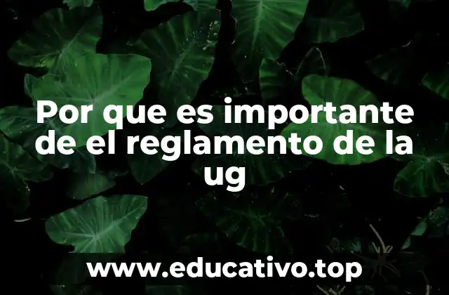 Por que es importante de el reglamento de la ug