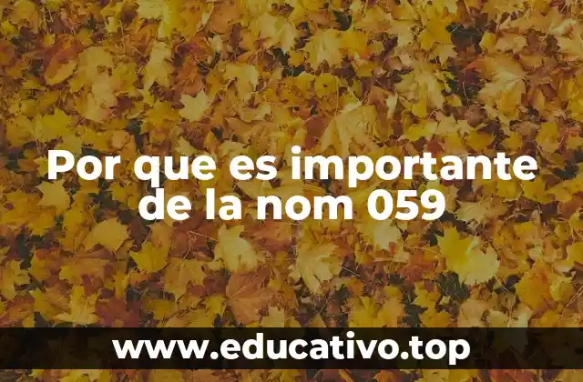 Por que es importante de la nom 059