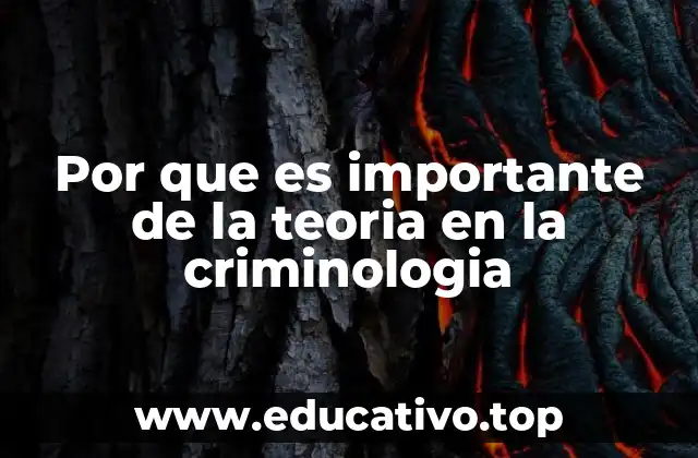 Por que es importante de la teoria en la criminologia