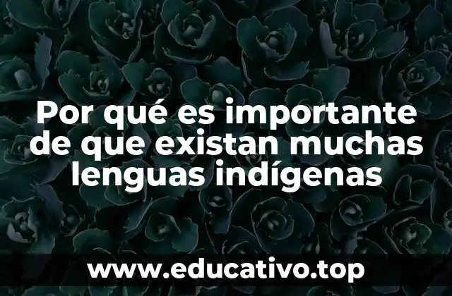Por qué es importante de que existan muchas lenguas indígenas