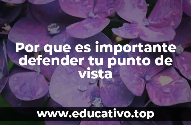 Por que es importante defender tu punto de vista