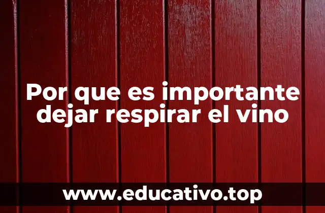 Por que es importante dejar respirar el vino