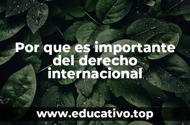 Por que es importante del derecho internacional