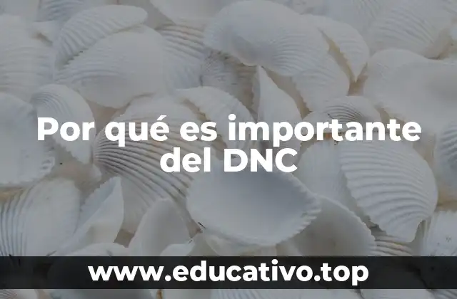 Por qué es importante del DNC