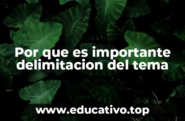 Por que es importante delimitacion del tema
