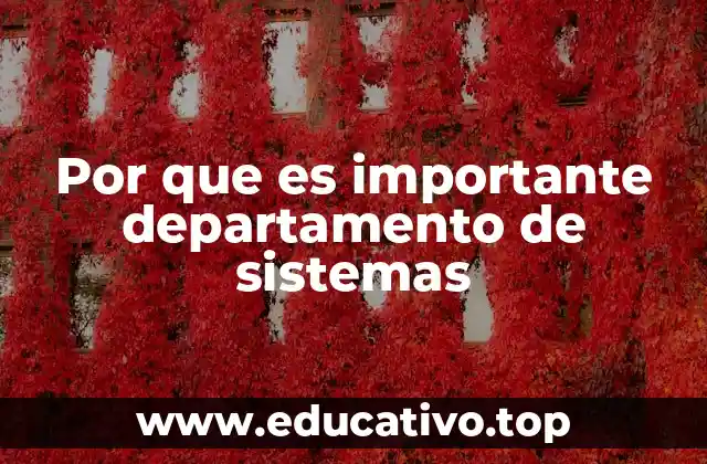 Por que es importante departamento de sistemas