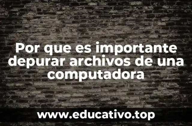 Por que es importante depurar archivos de una computadora