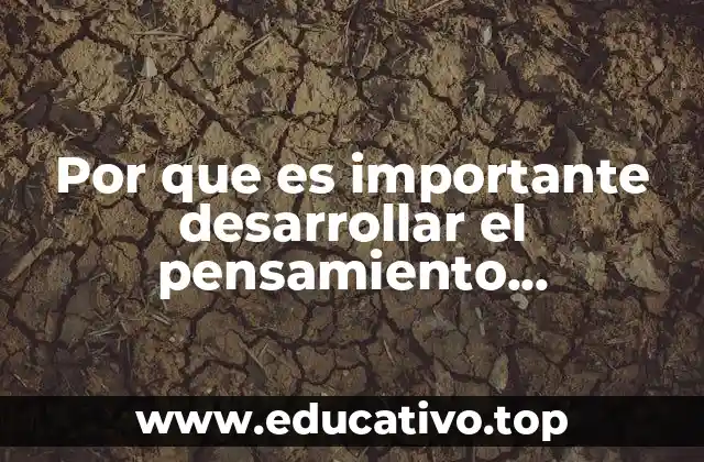 Por que es importante desarrollar el pensamiento logico-matematico
