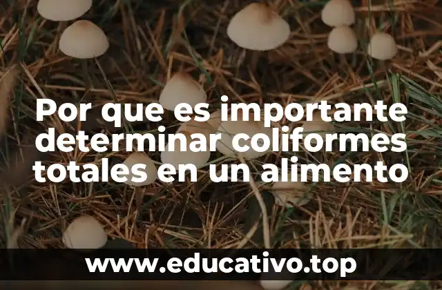 Por que es importante determinar coliformes totales en un alimento