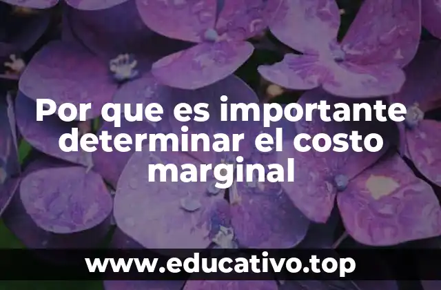Por que es importante determinar el costo marginal