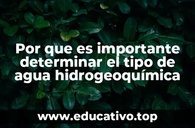 Por que es importante determinar el tipo de agua hidrogeoquímica