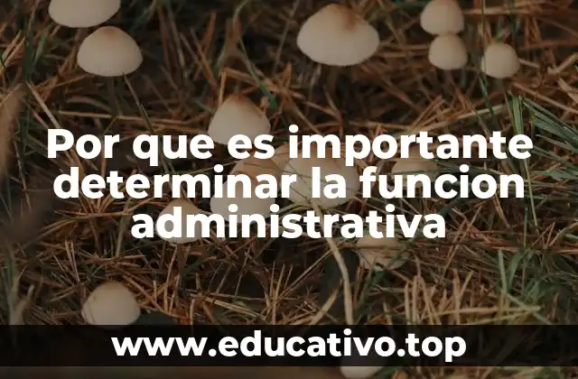 Por que es importante determinar la funcion administrativa
