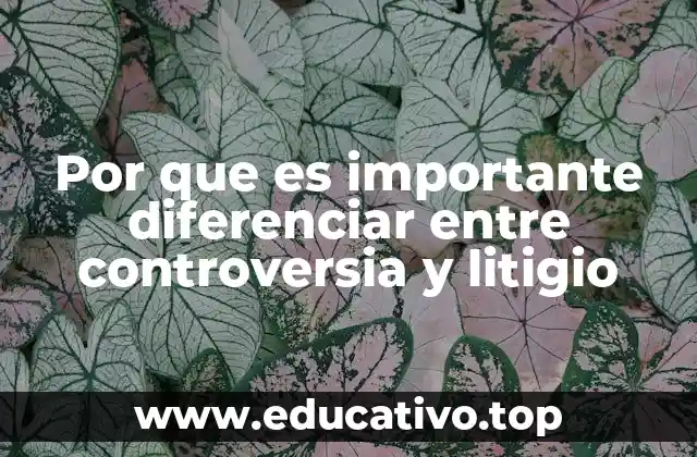 Por que es importante diferenciar entre controversia y litigio