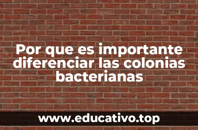 Por que es importante diferenciar las colonias bacterianas