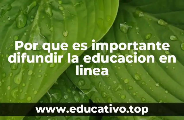 Por que es importante difundir la educacion en linea
