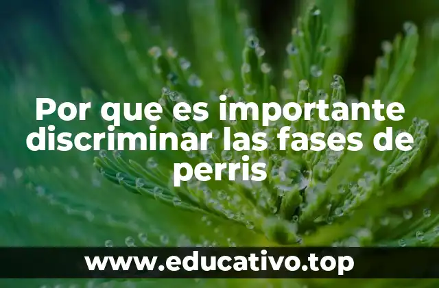 Por que es importante discriminar las fases de perris