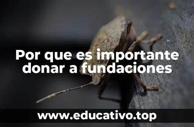 El impacto social de los aportes a organizaciones sin fines de lucro