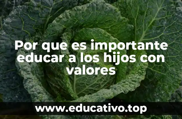 Por que es importante educar a los hijos con valores