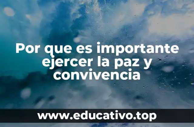 Por que es importante ejercer la paz y convivencia