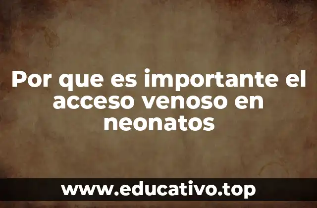 Por que es importante el acceso venoso en neonatos