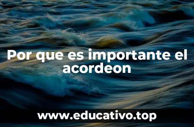 Por que es importante el acordeon