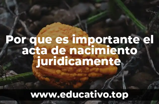 Por que es importante el acta de nacimiento juridicamente
