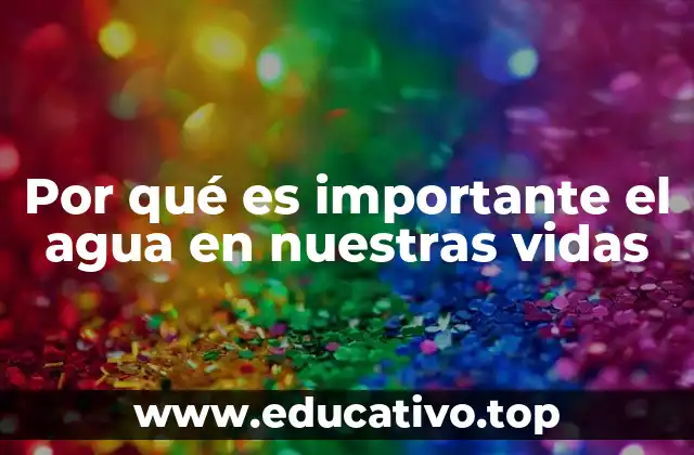 Por qué es importante el agua en nuestras vidas