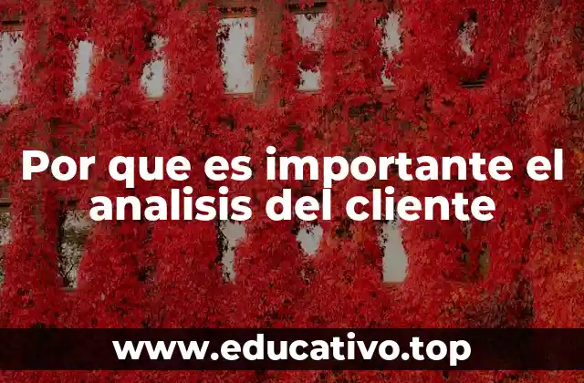 Por que es importante el analisis del cliente