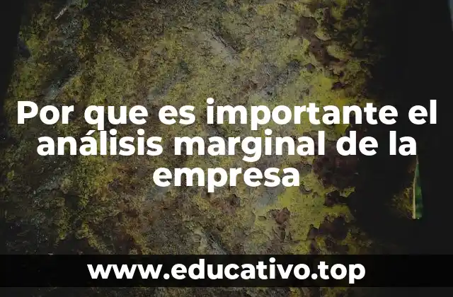 Por que es importante el análisis marginal de la empresa