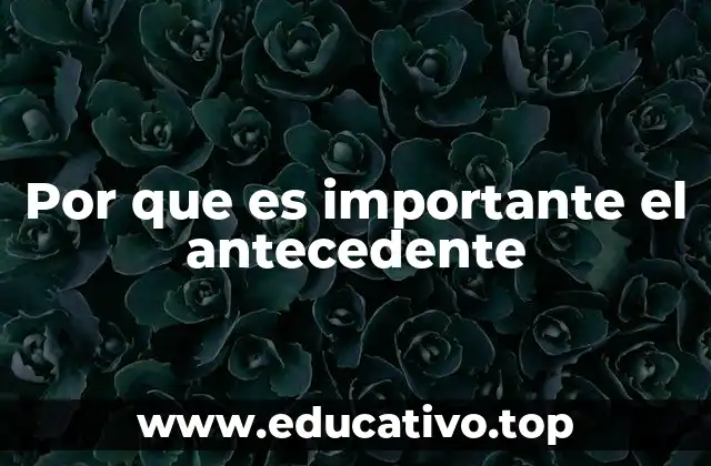 Por que es importante el antecedente