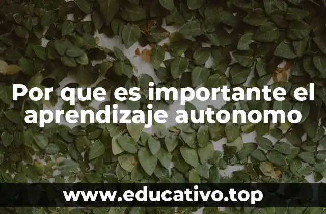 Por que es importante el aprendizaje autonomo