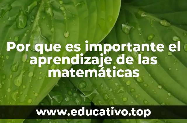 Por que es importante el aprendizaje de las matemáticas